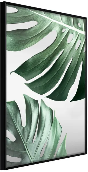 ARTGEIST 带框海报 - Leaves Like Swiss Cheese 黑色 30x45
