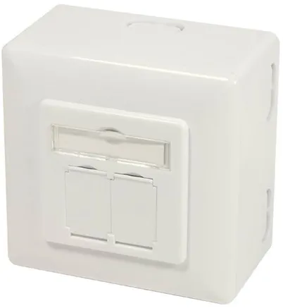 LogiLink NP0124 Cat.6A 墙面插座 2 x RJ45 屏蔽 带安装盒 纯白色